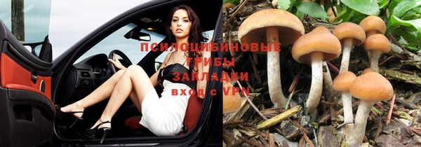 СК Баксан